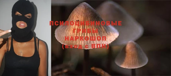 ECSTASY Арсеньев