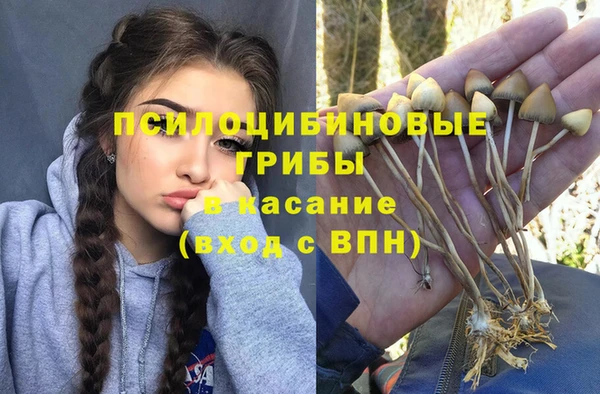 ECSTASY Арсеньев