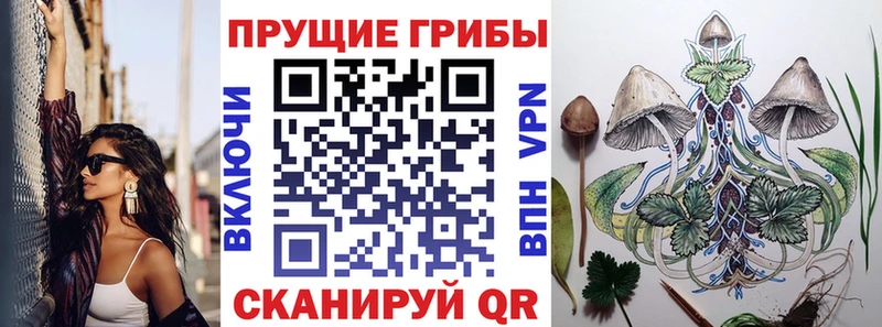 Галлюциногенные грибы Magic Shrooms  сколько стоит  МЕГА tor  Саяногорск 